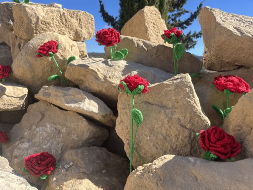 rosas entre piedras